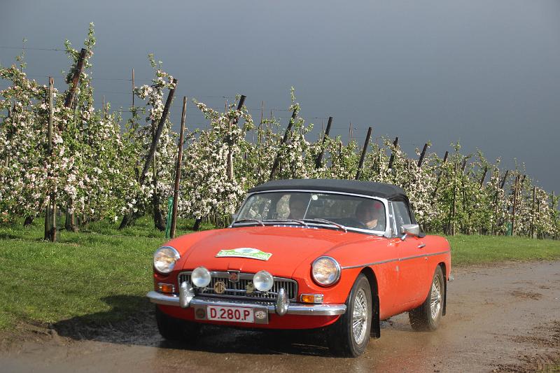 MG Bloesemrit op 24-4-2016 org. Jos&Marie-lou  (297).JPG